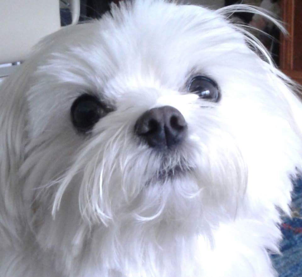 Start-up, it's your turn now!